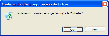 172-suppression-fichier-1.png