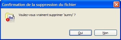 172-suppression-fichier-2.png